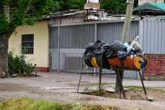 El paro de recolectores se mantenía desde el domingo pasado Foto: ALF PONCE MERCADO / MDZ