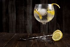 Muchas recetas de Gin para disfrutar en verano