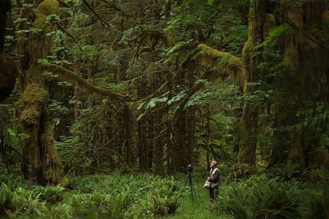 Hempton ha dado la vuelta al mundo tres veces buscando y documentando los paisajes sonoros naturales que desaparecen del planeta. Foto: SHAWN PARKIN Foto: SHAWN PARKIN