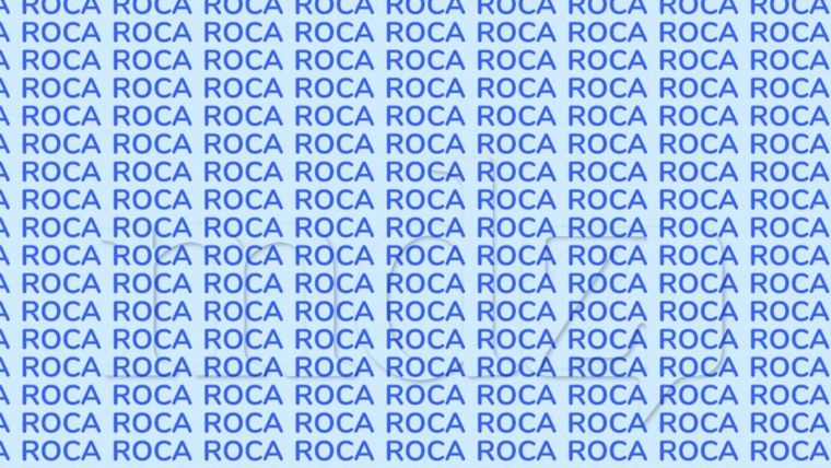 Este tipo de acertijos seguirán siendo tendencia en redes sociales, desafiando a usuarios de todas las edades Foto: Archivo MDZ