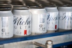 Cerveza Michelob Sin Gluten de Quilmes Foto: Quilmes Cerveza Michelob Sin Gluten de Quilmes Foto: Quilmes