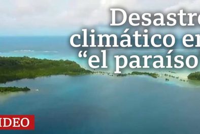 MDZol | Foto: BBC