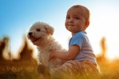 Los perros pueden convertirse en grandes compañeros para los niños. Foto: Archivo