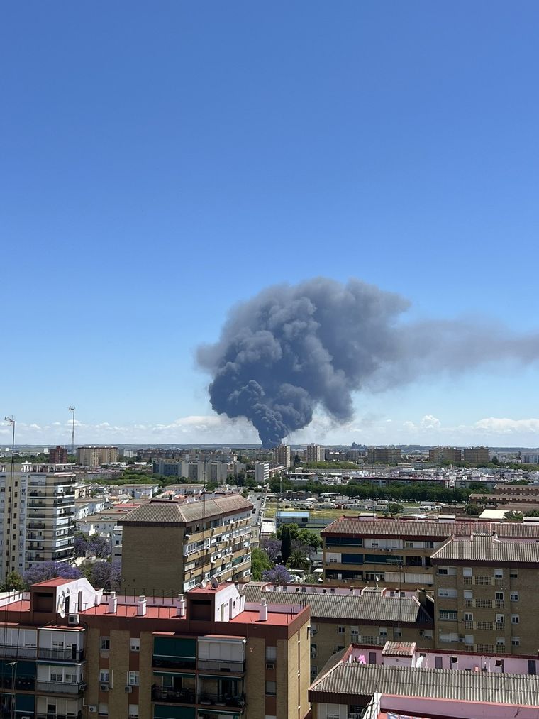 El hecho ocurrió en un inmueble de Mario Bravo y avenida Díaz Vélez. Foto: X