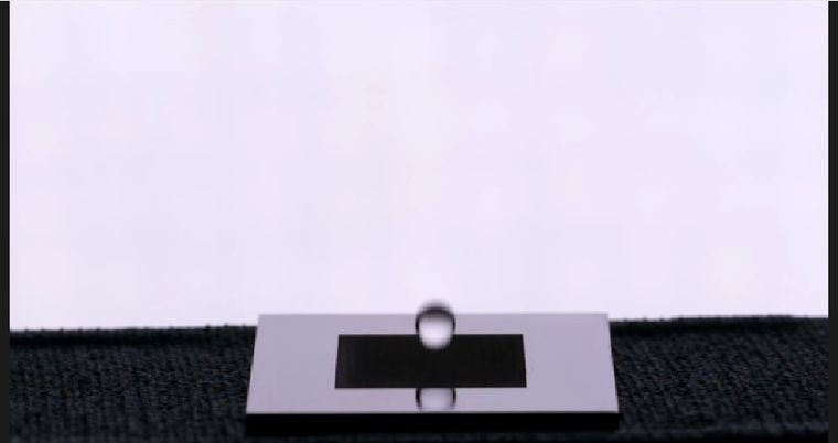 606592.jpg