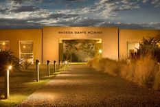 Bodega Dante Robino. Foto: Gentileza Bodega Dante Robino. Foto: Gentileza