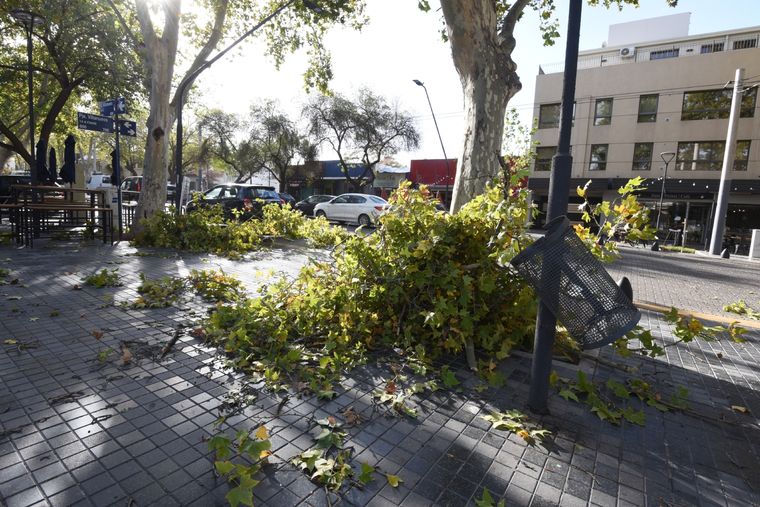 Foto: Maximiliano Ríos/MDZ