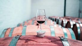 Vino en Malbec: nuestro vino emblema. Foto: Foto: Pexels