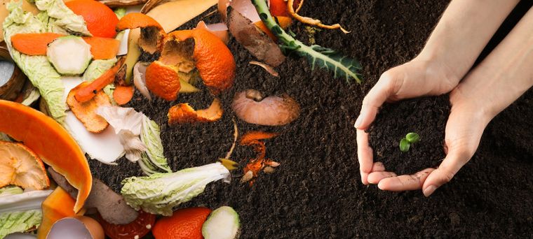 El especialista en plantas, Luis Canziani, detalló las tareas que podemos realizar en nuestro jardín en esta época. Foto: SHUTTERSTOCK