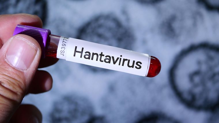 El brote de hantavirus que comenzó en el MV Hondius El brote de hantavirus que comenzó en el MV Hondius