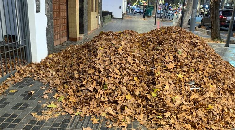 Foto: ALF PONCE MERCADO / MDZ