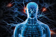 ¿por que es importante segregar dopamina en mi cerebro?