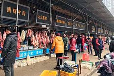 wuhan: ¿china oculto intencionalmente al mundo el inicio de la pandemia?