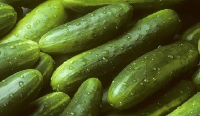Pepinos
