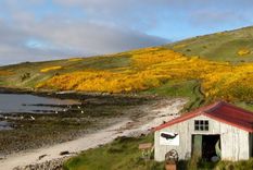 el reino unido hizo otro ejercicio militar en malvinas