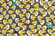 ACERTIJO VISUAL ACERTIJO VISUAL, RETO VISUAL, PINGÜINO Foto: ARCHIVO ACERTIJO VISUAL ACERTIJO VISUAL, RETO VISUAL, PINGÜINO Foto: ARCHIVO