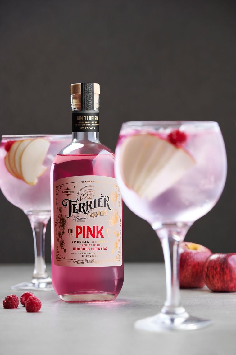 Trago viral en redes sociales: Gin Paff, la bebida que combina sabores exuberantes y gin tonic Foto: Foto: Freepik