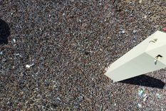 El Obelisco se erige entre una masa de gente que se agolpa esperando a la Selección Foto: TELAM El Obelisco se erige entre una masa de gente que se agolpa esperando a la Selección Foto: TELAM