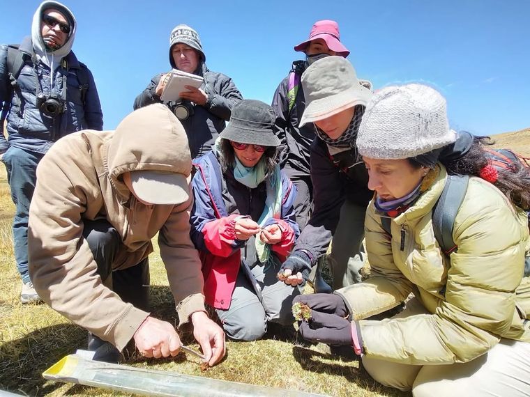 Ahora compite por un millón de dólares junto a 25 científicos.