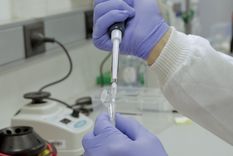 conicet: los salarios de los investigadores son los mas bajos en mas de 15 anos