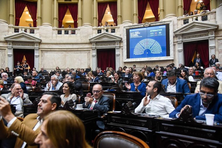 Massa celebró el avance del proyecto Foto: Prensa Diputados