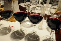 Foto: ALF PONCE / MDZ