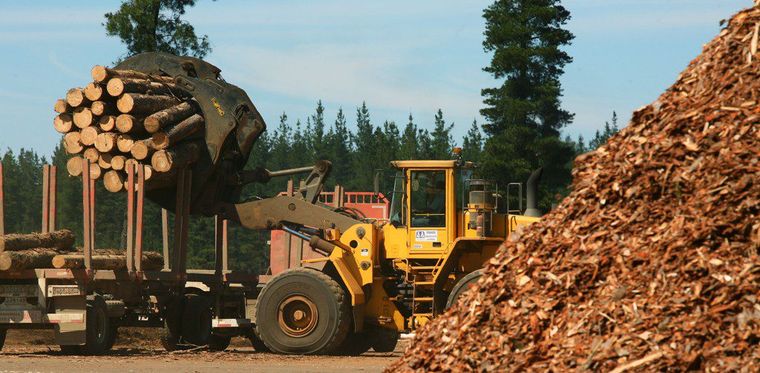 La suba de costos de producción y los bajos precios están afectando a la industria forestal, un sector clave en provincias como Corrientes y Misiones, que ahora está en crisis.&nbsp;