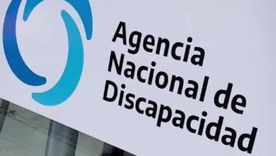 corrupcion en la andis: la declaracion de un testigo protegido revela posibles irregularidades a gran escala corrupcion en la andis: la declaracion de un testigo protegido revela posibles irregularidades a gran escala