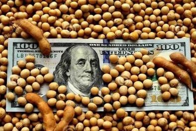 MDZol | El dólar soja se lanzó como un incentivo a los productores y exportadores pero en algunas semanas cambiaron las reglas de juego. Foto: Archivo