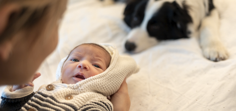 Ambos pueden desarrollar el mejor vínculo. Foto: Shutterstock