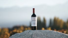 El vino se llevo un gran premio Foto: Gentileza