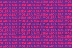 ACERTIJO VISUAL ACERTIJO VISUAL, RETO VISUAL, PALABRA Foto: MDZ ONLINE