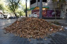 La temperatura máxima será de 31° Foto: Maximiliano Ríos/MDZ