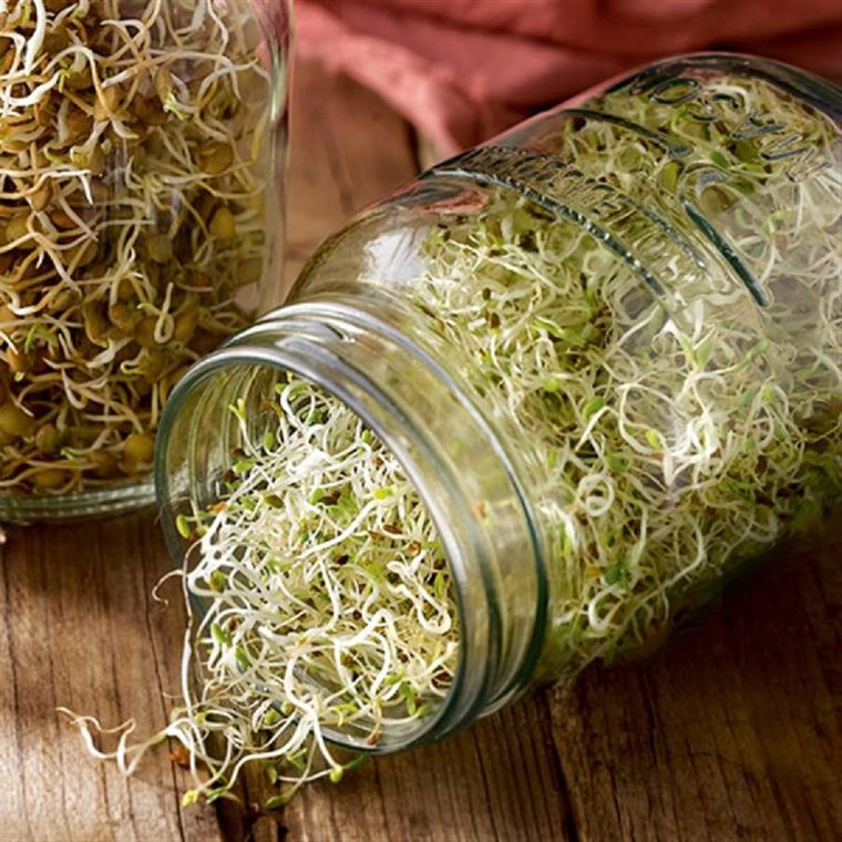 Las lentejas tienen un gran valor nutricional. Foto: Cuerpo y mente