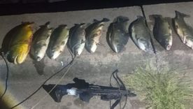 El operativo tuvo lugar en el acceso al dique El Tunal. El operativo tuvo lugar en el acceso al dique El Tunal.