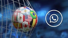 El Mundial 2026 activa funciones interactivas especiales en las principales plataformas móviles de Meta. El Mundial 2026 activa funciones interactivas especiales en las principales plataformas móviles de Meta.