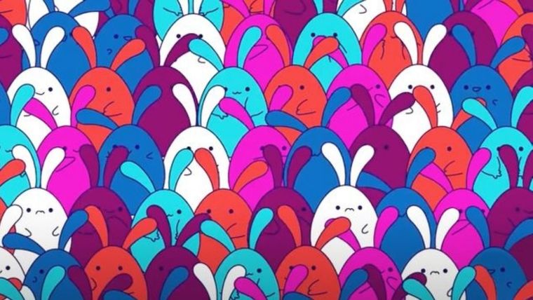 Acertijo visual, reto visual, huevo