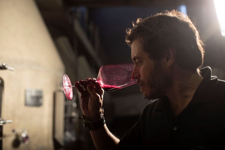 Sebastián Zuccardi, degustando y trabajando. Foto: Gentileza