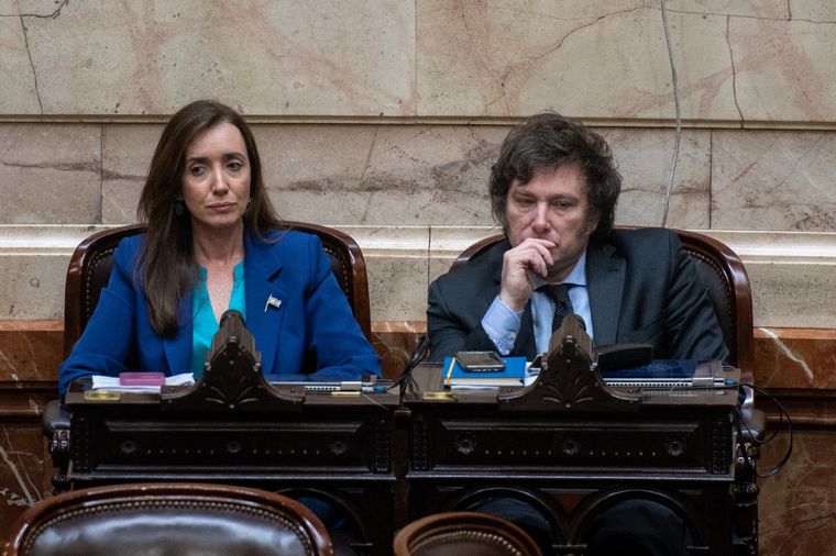 Javier Milei apoyó la devolución del IVA Foto: Télam