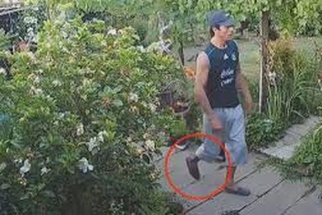 tiene prision domiciliaria y entro a robar a una casa con la tobillera electronica tiene prision domiciliaria y entro a robar a una casa con la tobillera electronica