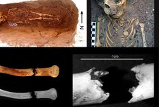 Foto: livescience.com