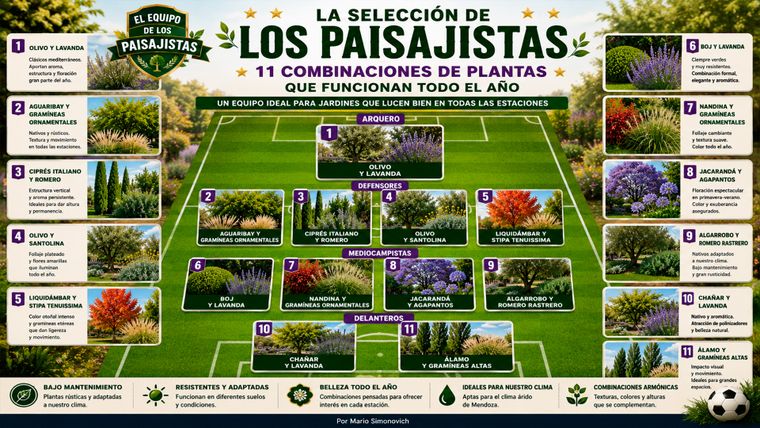 Como un equipo de fútbol del Mundial, estas 11 combinaciones de plantas ocupan distintas posiciones en el jardín y demuestran cómo árboles, gramíneas y aromáticas pueden funcionar en conjunto durante las cuatro estaciones. &nbsp;