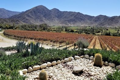 MDZol | En Cachi hay cuestiones que son culturales es un lugar que vive del turismo. Foto: Gentileza