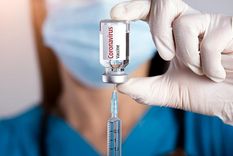 vaticano acepta las  vacunas anticovid hechas con tejido de fetos abortados