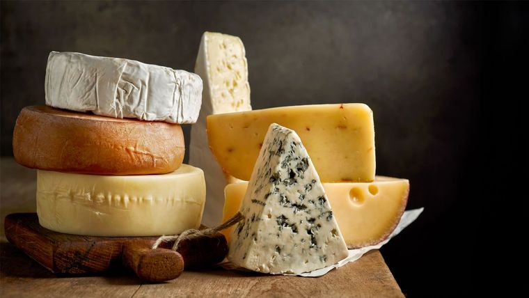 Queso y sus variedades para incluír en la dieta Foto: Shutterstock