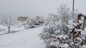 El pronóstico anticipa nevadas persistentes en Santa Cruz y Tierra del Fuego durante el lunes. El pronóstico anticipa nevadas persistentes en Santa Cruz y Tierra del Fuego durante el lunes.