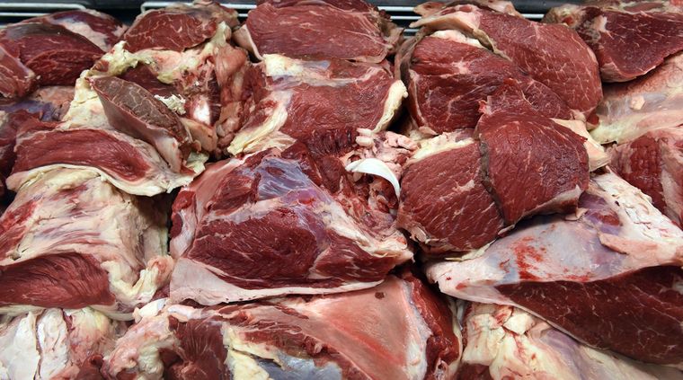 Foto: ALF PONCE MERCADO / MDZ