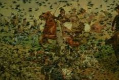 ¿por que la batalla de tucuman tambien es llamada batalla de las langostas?