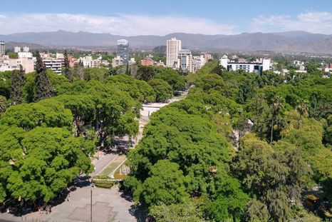 El arbolado de Mendoza fue evolucionando según las necesidades Foto: Prensa Gobierno de Mendoza