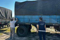 Aduana evitó el contrabando de 27 toneladas de cobre, aluminio y bronce. Foto: AFIP